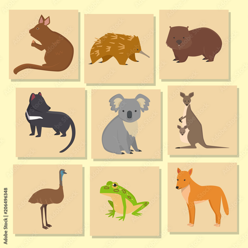 Australia wild animals card cartoon popular nature characters flat style mammal collection vector illustration.