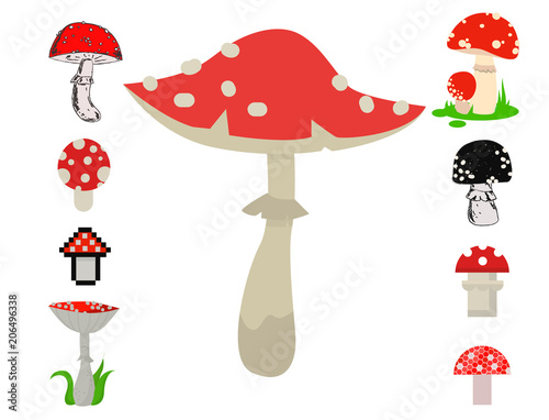 Vector amanita mushrooms dangerous set poisonous season toxic fungus food illustration.