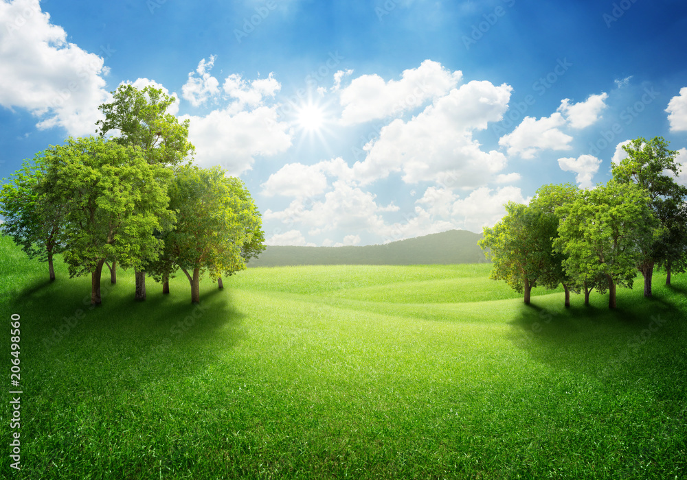Trees on green hill with blue sky and clouds in background for nature Trees on green hill with blue sky and clouds in background for nature