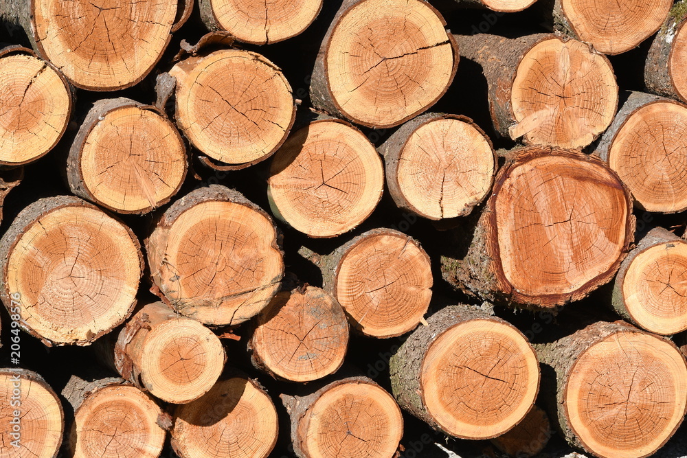 Cut logs piled one on top of another Cut logs piled one on top of another