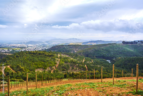 Vineyard mountains in Stellenbosch valley South-Africa