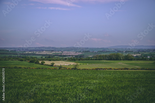 Irish countryside fields of green on a sunny day © bacothelock