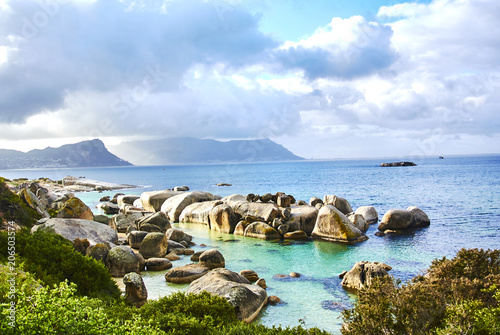 Penguins in boulder's beach cape-town south-africa with seaside and moutain view
