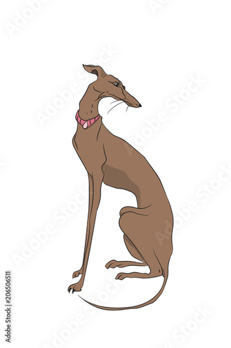 dog sitting, lines, vector