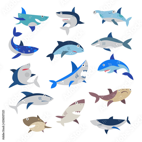 Shark vector cartoon seafish with sharp teeth in jaw illustration set of attacking fishery character in ocean isolated on white background
