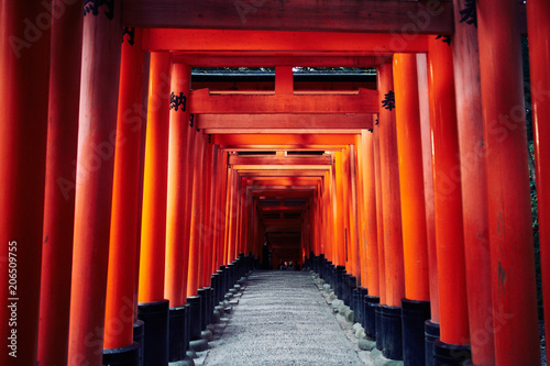 Torii Gates of Fushimi Inari-taisha in Kyoto  Japan