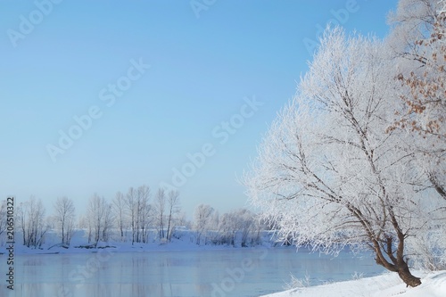 snowy freeze trees and frost ,blue river