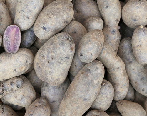 background of potatoes