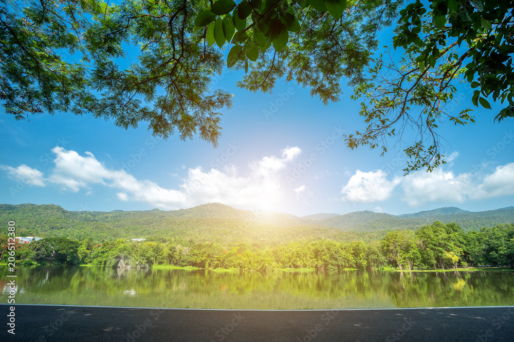 Fototapeta premium Along road landscape view in Ang Kaew Chiang Mai University Forested Mountain blue sky background with white clouds, Nature Road in mountain forest.