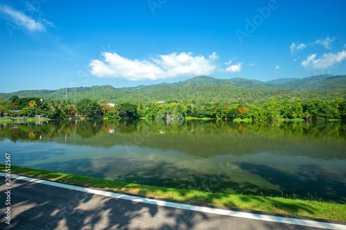 Along road landscape view in Ang Kaew Chiang Mai University Forested Mountain blue sky background with white clouds, Nature Road in mountain forest.