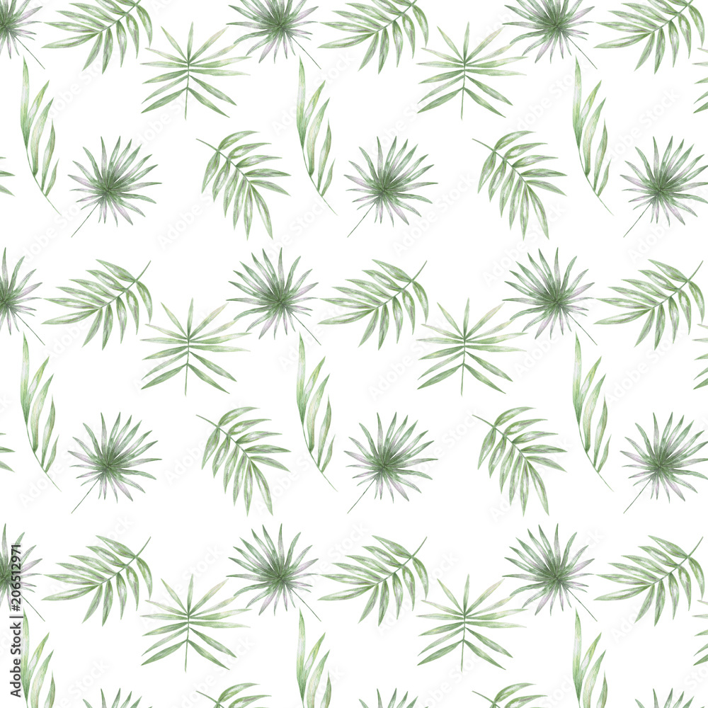 Tropical sseamlless pattern with exotic palm leaves. Seamlless pattern tropic leafs on white background