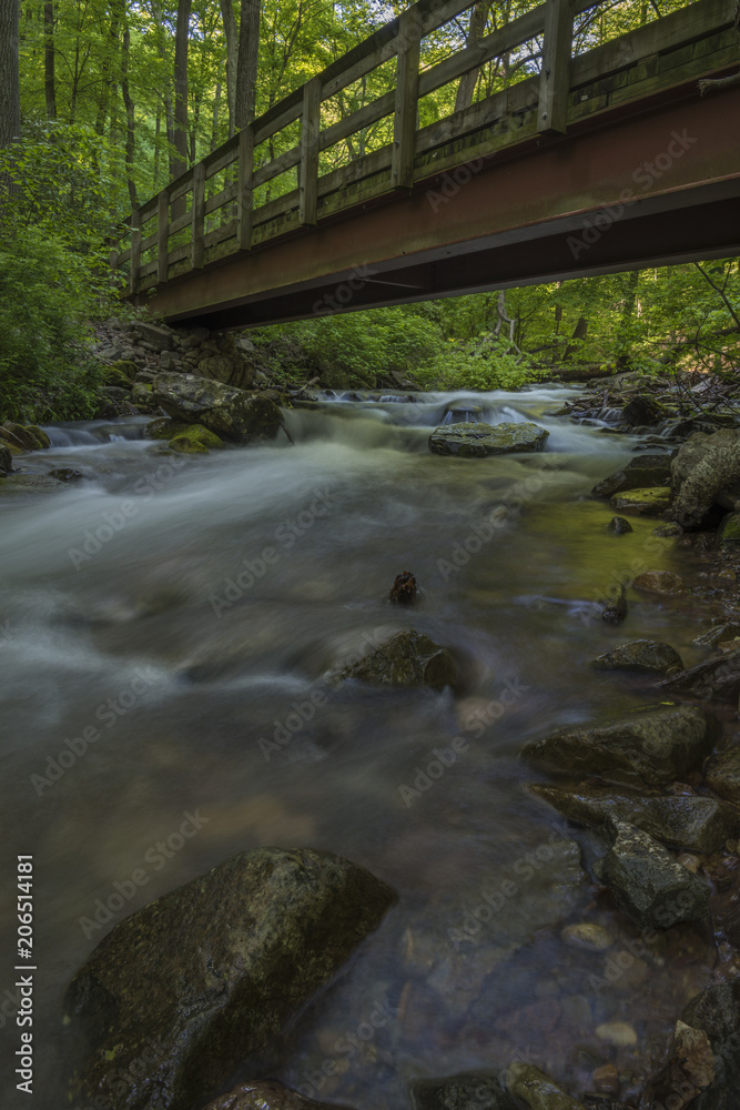 River flowing through the forest at Delaware Water Gap