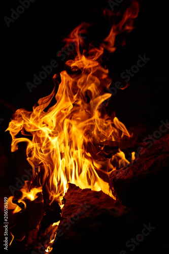 Flame of burning firewood at night in the forest.