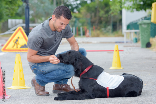 Dog handler feeding treat to dog