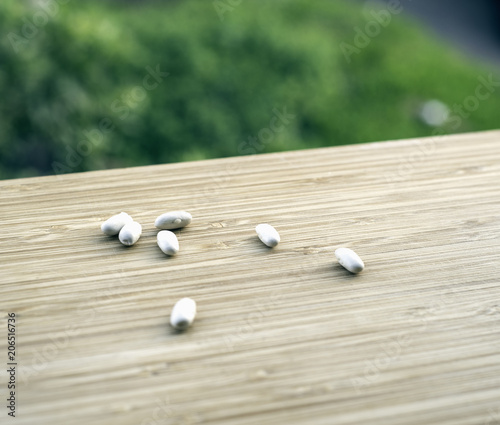 Принти на полотні white beans