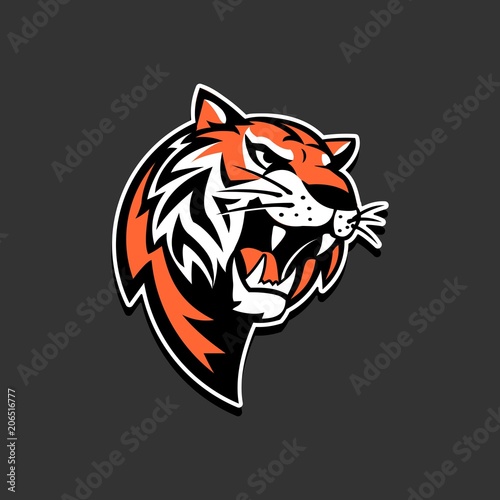 Tiger logo sport team vector