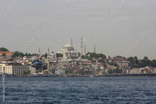 Mezquita de Estambul © naturseda