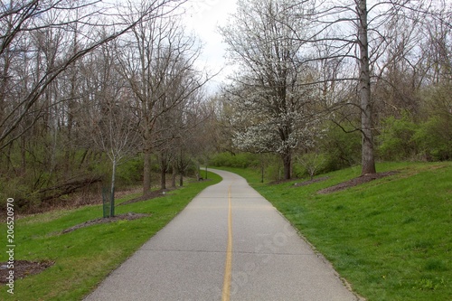 The long walkway the park on a early springtime day.