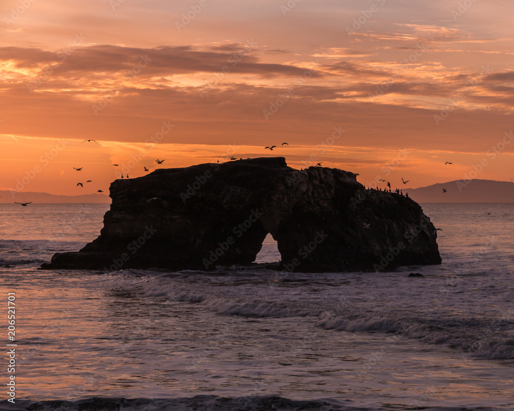California Coast Santa Cruz Bridge Rock Sunrise Sunset Birds
