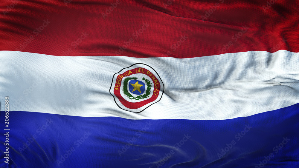 PARAGUAY Realistic Waving Flag Background PARAGUAY Realistic Waving Flag Background