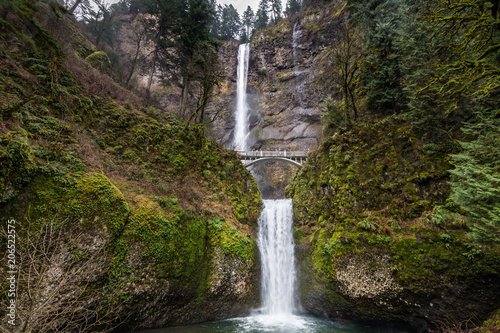 Fototapeta Naklejka Na Ścianę i Meble -  Multnomah Falls near Portland, Oregon