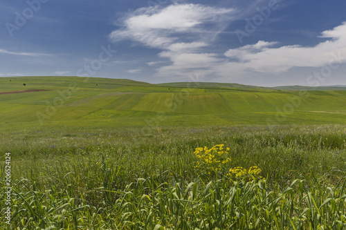 Cultivated fields and a lon...