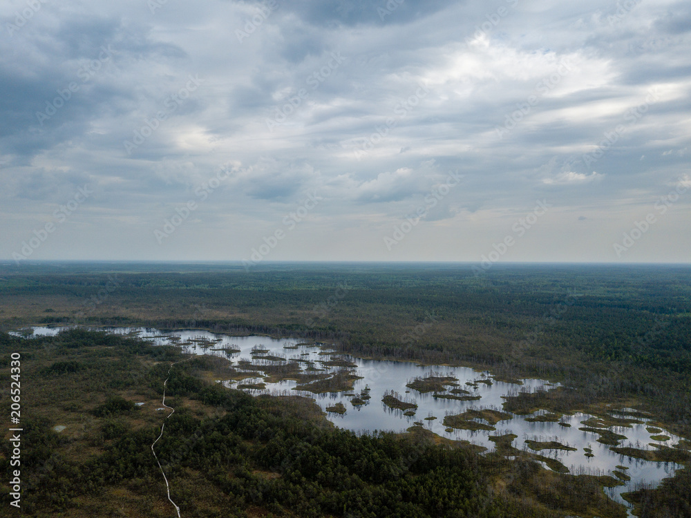 drone image. aerial view of swamp lake