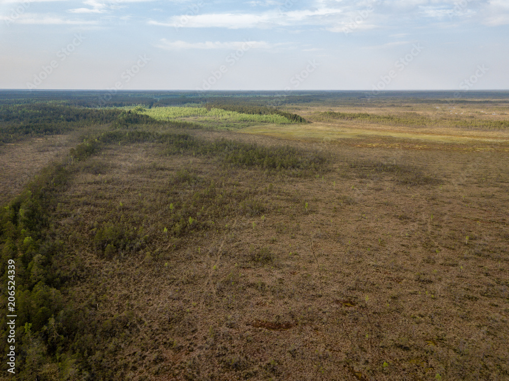 drone image. aerial view of swamp area with foot walk trails drone image. aerial view of swamp area with foot walk trails