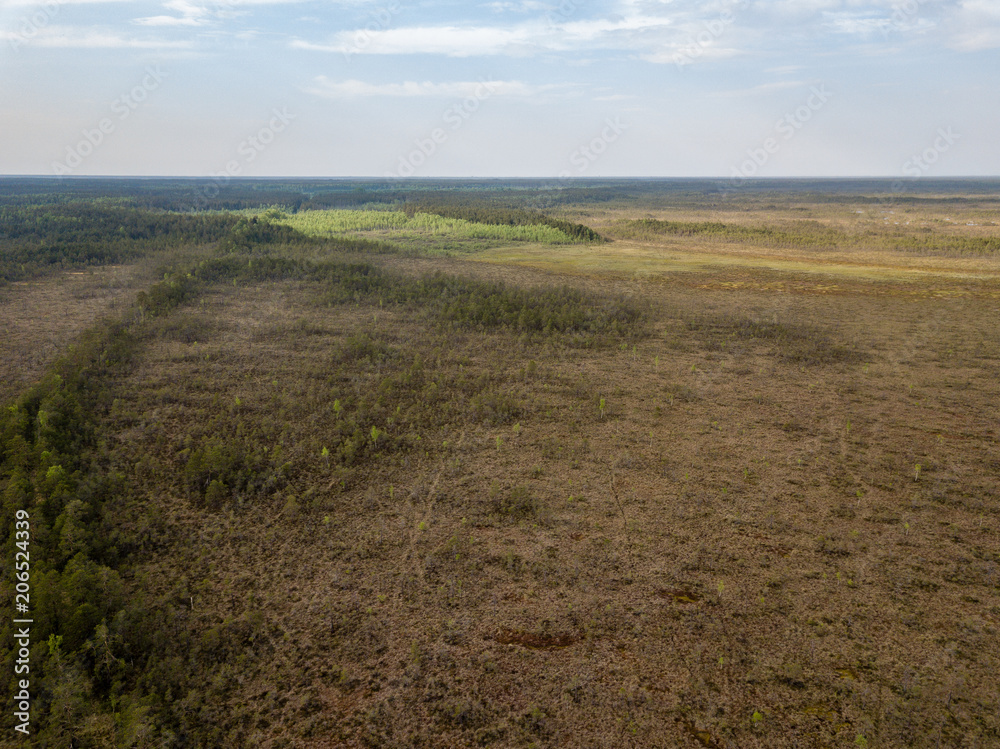 drone image. aerial view of swamp area with foot walk trails