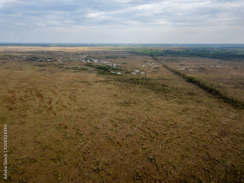 drone image. aerial view of swamp area with foot walk trails drone image. aerial view of swamp area with foot walk trails