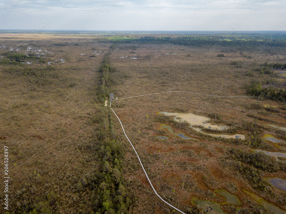 drone image. aerial view of swamp area with foot walk trails
