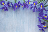 Background with blue iris flowers for congratulations, invitations