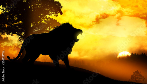 Fototapeta Naklejka Na Ścianę i Meble -  lion in wild nature landscape