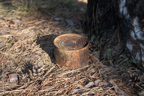 Tin can in a forest