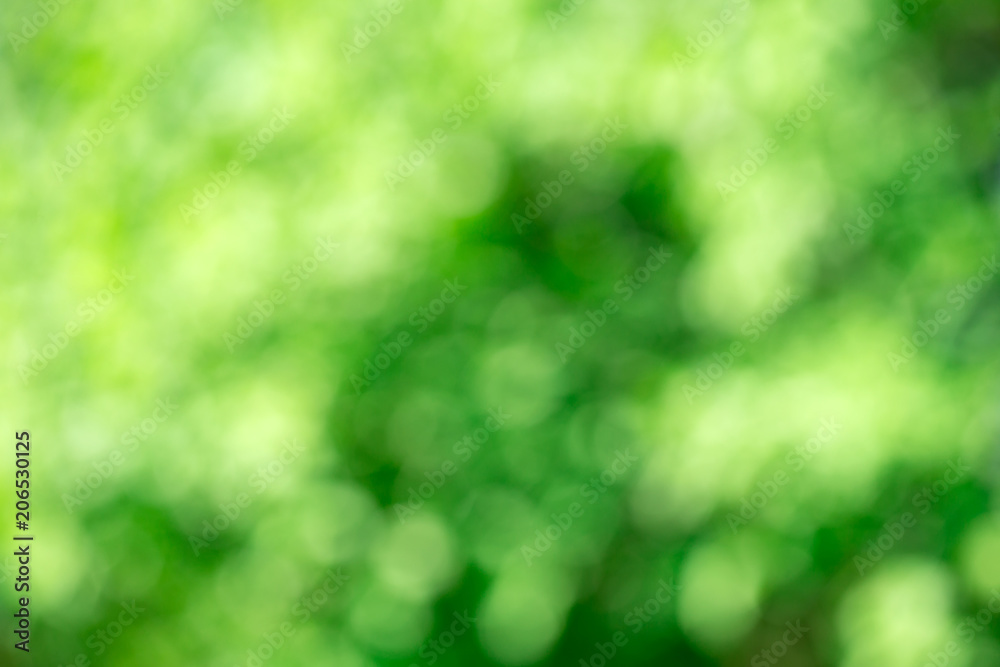 Obraz premium green bokeh background,green bokeh,green bokeh abstract