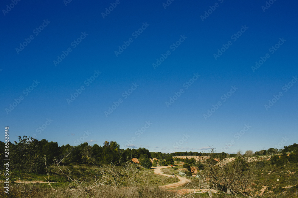 paisaje con pinos cielo y sol cálido