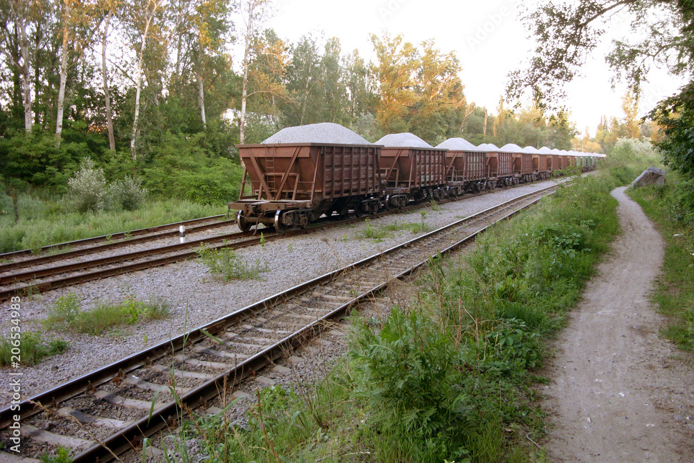 Freight wagons filled with sand, in the summer in the forest Freight wagons filled with sand, in the summer in the forest