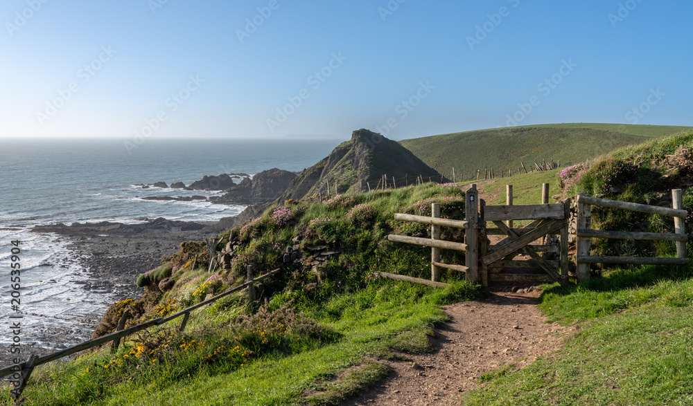 South west coastal path near Hartland Quay in North Devon South west coastal path near Hartland Quay in North Devon