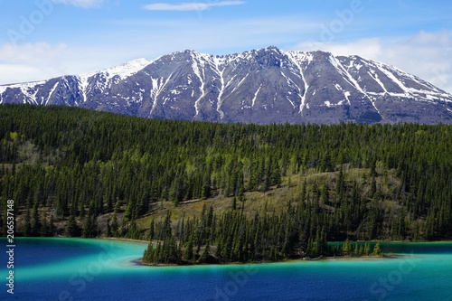 Emerald Lake  Yukon  Canada with mountains and forest on the background