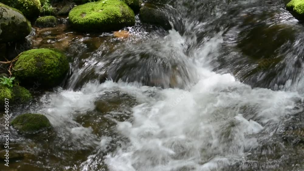 Running waters of a Mountain Stream Running waters of a Mountain Stream