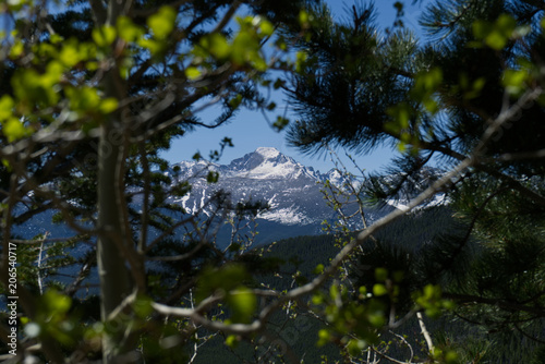 Mountain through trees © Brandon