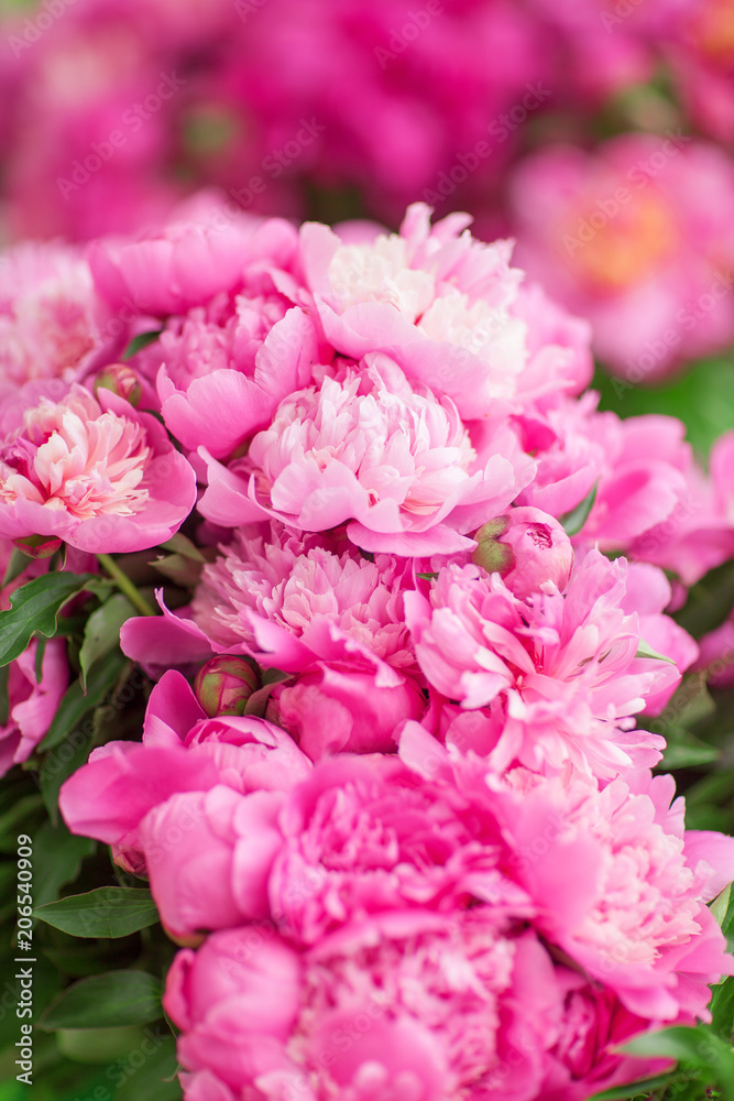 beautiful fresh peonies at the weekly market, can be used as background 