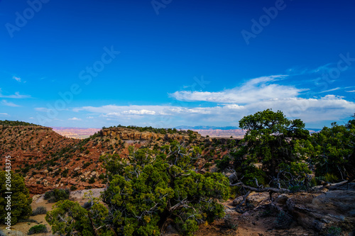 I captured this image between the Flint Trail and the Golden Stairs area of the Maze District of the Canyonlands National Park in Utah. 