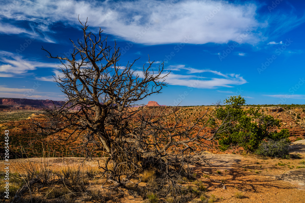 I captured this image on the road to The Maze Overlook from the Golden Stairs area in the Canyonlands National Park in Utah. I captured this image on the road to The Maze Overlook from the Golden Stairs area in the Canyonlands National Park in Utah.