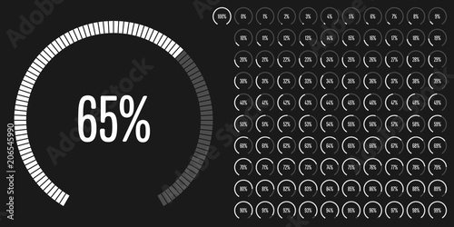 Set of circular sector percentage diagrams from 0 to 100 ready-to-use for web design, user interface (UI) or infographic - indicator with white