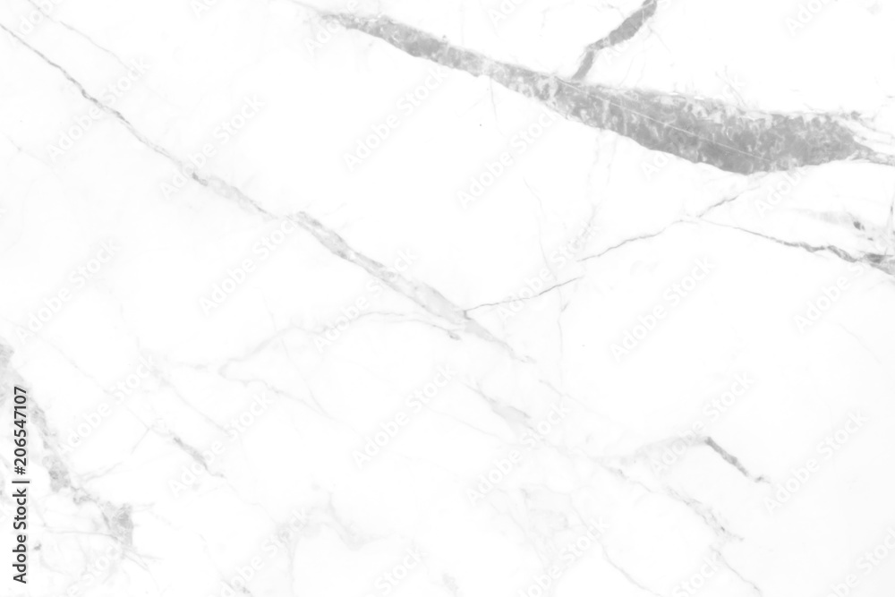 Fototapeta premium Abstract white marble background with natural motifs.