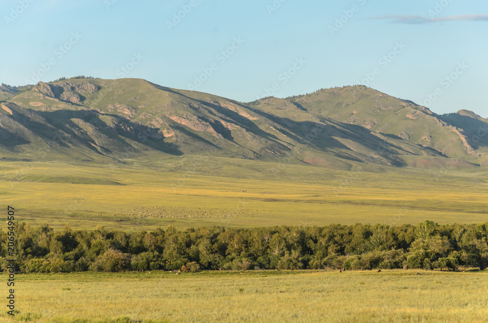 Fototapeta premium Sunny summer landscape, hills, forest, blue sky