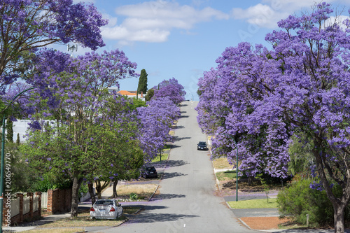 purple streets