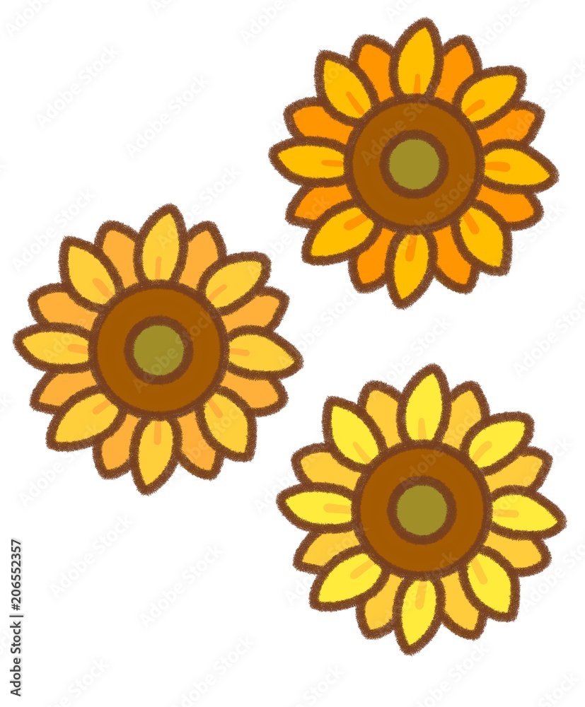 Fototapeta premium ひまわり