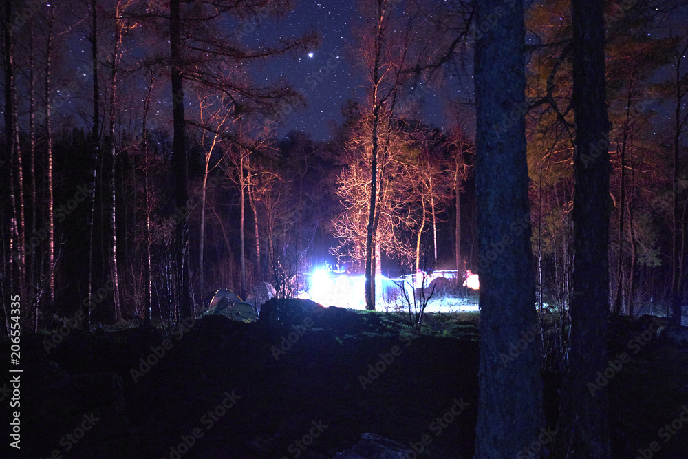 Naklejka campground in the woods at night